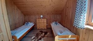 two beds in a wooden room with a dog in it at Domek na Przełęczy in Ochotnica Górna