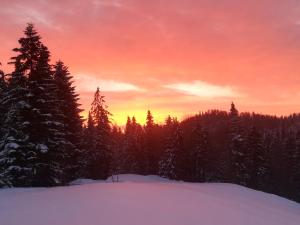 a sunset over a snow covered forest with trees at Domek na Przełęczy in Ochotnica Górna