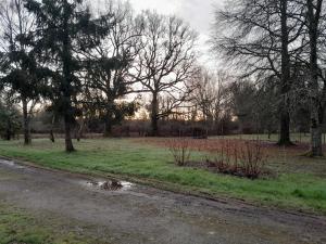 a puddle of water in a field with trees at Studio nature indépendant in Le Gâvre