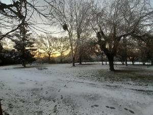 a snow covered park with trees and footprints in the snow at Studio nature indépendant in Le Gâvre