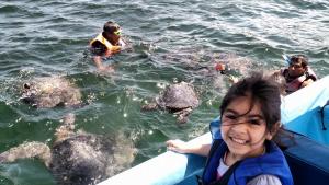 Clientes alojados en Guille Bungalows