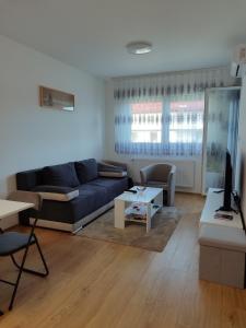 a living room with a couch and a table at Apartman BIM 58 in Banja Koviljača