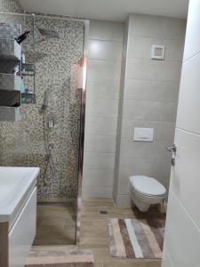 a bathroom with a shower and a toilet and a sink at Apartman BIM 58 in Banja Koviljača
