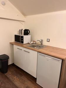 a kitchen with a sink and a microwave at L'escale Aéro Lyon in Saint-Laurent-de-Mure