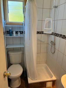 a small bathroom with a toilet and a shower at Cabaña de Lujo Independiente in Frutillar +14 photos