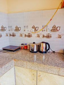 a kitchen counter with pots and pans on it at The Himalayan Homes in Tokna