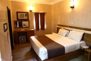 a hotel room with a bed and a television at Vienna Suites in Owerri
