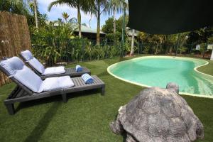 a turtle sitting next to a chair and a pool at Rainforest Motel, Mission Beach in Mission Beach