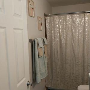 a shower with a shower curtain in a bathroom at The Elect at Pinewood in Millbrook