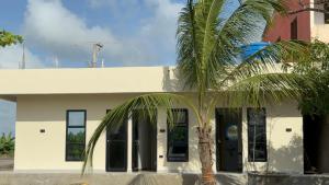 a palm tree in front of a building at Hotel ANY in Los Córdobas