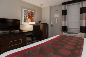 a hotel room with a bed and a desk and a television at Ramada by Wyndham Boston in Boston