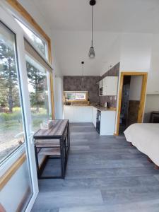 a room with a bed and a table and a kitchen at Ruta Divisadero in Coihaique