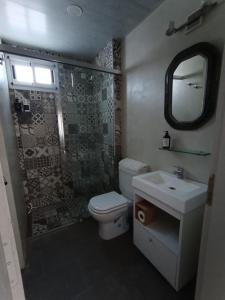 a bathroom with a toilet and a sink and a mirror at San Lorenzo I in Chacabuco