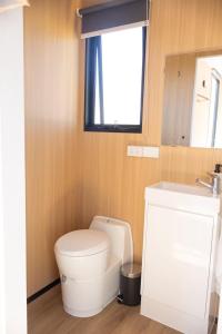 a bathroom with a white toilet and a sink at Beckford Tiny House 2 by Tiny Away in Good Hope +18 photos