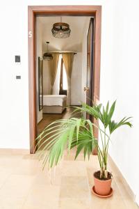 a potted plant in a hallway with a bedroom at Hasu Rental Rooms in Trani +40 photos