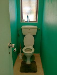 a bathroom with a toilet with a green wall at Papamoa budget accomodation's in Tauranga