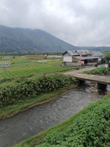 a bridge over a river in a field at Queen Rinjani Stay & Café in Sembalun Lawang