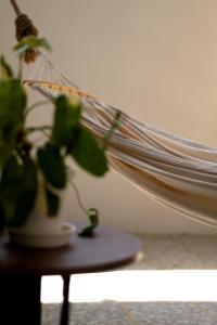 a plant sitting on a table next to a book at Oceanchild Khaolak in Khao Lak