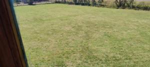 a view of a field of grass from a window at Alojamiento Los Canelos in Ancud