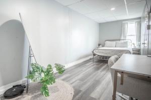 a room with a bed and a table and a plant at Cozy Croghan Apartment in Croghan