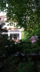 Vonkajšia záhrada v ubytovaní Vila Olga
