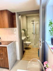 a bathroom with a shower and a toilet and a sink at Szarów 414 in Szarów +59 photos