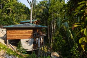 a tree house in the middle of a forest at Casa Santa Maria in Benque Viejo del Carmen