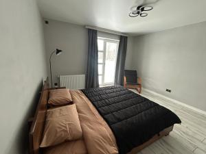 a bedroom with a large bed and a window at Villa Bory in Vygoda