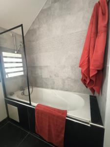 a bathroom with a bath tub with a red towel at La Cabane du lagon atypique et accès à la plage in La Saline les Bains +25 photos