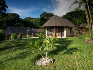 a small house with a palm tree in front of it at Taveuni Dive Resort in Waiyevo