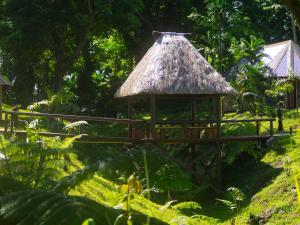 a small hut with a thatched roof in a garden at Taveuni Dive Resort in Waiyevo