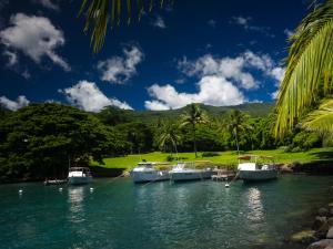 a group of boats docked in the water at Taveuni Dive Resort in Waiyevo