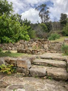 an old stone stairway in a garden at Stone Walls in Derby