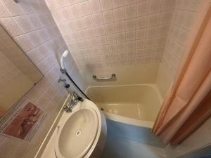 a small bathroom with a toilet and a tub at ホテルルネサンス土浦 in Tsuchiura