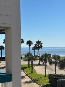 a view of the beach and palm trees from a building at Boltons Bungalow Casa Del Mar in Galveston