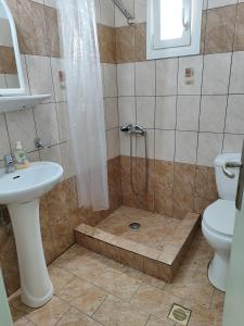 a bathroom with a shower and a sink and a toilet at Four Seasons Rooms & Apartments in Ios Chora