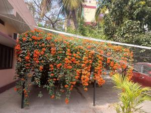 a bunch of orange flowers are growing on a fence at GARDEN villa, Vanasthalipuram in Hyderabad