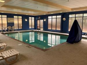 a swimming pool in a building with blue walls and windows at Hampton Inn & Suites McComb in McComb
