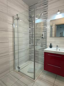 a bathroom with a glass shower and a sink at 1 Tyskie Apartamenty z prywatnym ogródkiem in Tychy +35 photos