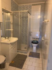a bathroom with a shower and a toilet and a sink at Wohnung Nähe Steyr bis 9 Personen in Ramingdorf +9 photos