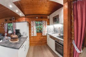 a kitchen in a log cabin with wooden walls at Schwedenhaus Uplandalm Willingen in Bömighausen