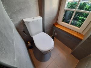 a white toilet in a bathroom with a window at Ecrin de Valdeblore in Valdeblore +35 photos