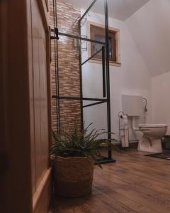 a bathroom with a toilet and a plant in a basket at La Poalele Vulcanilor in Densuş +46 photos