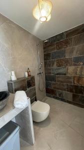 a bathroom with a toilet and a stone wall at Les Terrasses du Fort in Basse-Terre +44 photos