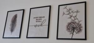 three framed pictures of flowers and feathers on a wall at Apartman A&V in Banja Luka +10 photos