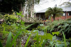 a bridge over a pond in front of a house at Frankie & Hugh's in Ohakune