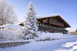 a snow covered christmas tree in front of a building at Haus Garden in Ellmau