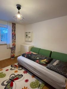 a bedroom with a green couch and a rug at Beim Wiesbau‘r in Pichl bei Wels