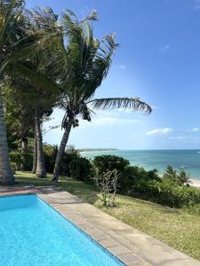 a swimming pool with a palm tree and the ocean at Paradise Beach House in Vilanculos
