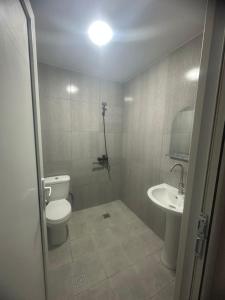 a bathroom with a toilet and a sink at Mini hotel falcon in Bakuriani